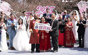 2025最浪漫的櫻花婚禮  12對國外佳偶梨山許下誓盟