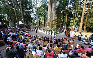 森系婚禮來了！阿里山神木婚禮10月登場 百年神木下許諾言