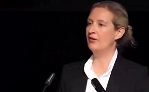 馬斯克拉抬有效! AfD成德第二大黨 她高嗆 : 歐盟不應存在 馮德萊恩應撤換 