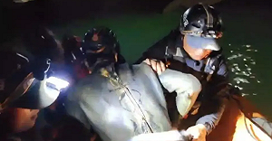 中國首例洞穴潛水救援成功! 69小時生死營救 2科考人員在溶洞生還