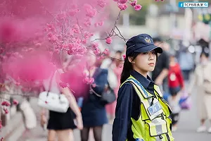 網友戀愛了!泰安派出所交管 警花比櫻花美