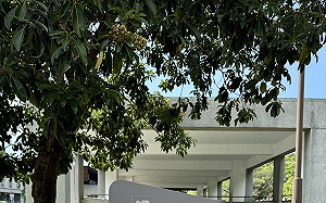 228事件在新竹痕跡旭橋不義遺址  市府設解說牌