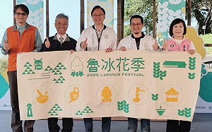 桃園魯冰花季開跑 6條小旅行+免費接駁車邀您遊客庄