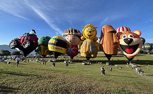 台東熱氣球嘉年華添新球 8場光雕音樂會7/6起登場