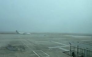 228連假收假日 金門濃霧海空交通影響近千人