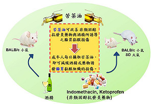 苦茶油好康多  興大 : 減緩急性胃黏膜損傷