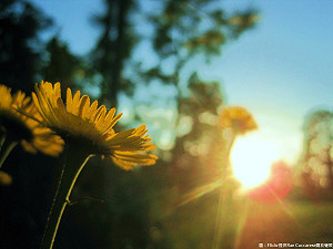 夏天要掰了！ 專家：下週準颱風逼近
