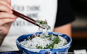 文青不能錯過  海洋文學自由入座