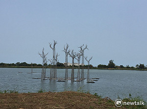 地景藝術》藝術家結合環保媒材與創意