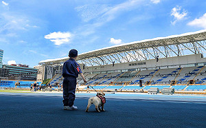 看比賽注意防曬！午後山區有陣雨