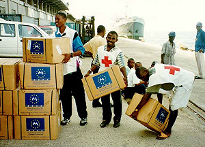 獅子山土石流  台紅十字會捐1萬瑞士法郎