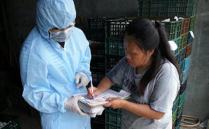 清查芬普尼蛋場、流向  全台緊急總動員