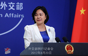 中駐印大使館提醒中國公民  提防簽證逾期