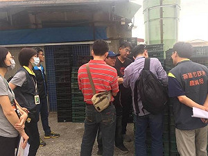 高市2牧場驗出芬普尼 衛局追查蛋品流向