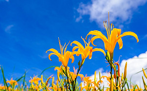 颱風外圍影響 花東恆春偶有雨