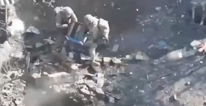 (影) 連蜜蜂都參戰! 手榴彈用光怎麼辦? 烏軍改扔蜂窩逼出躲藏俄軍