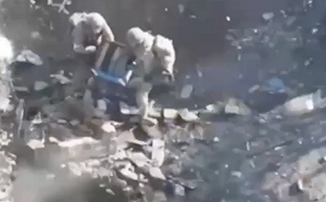 (影) 連蜜蜂都參戰! 手榴彈用光怎麼辦? 烏軍改扔蜂窩逼出躲藏俄軍