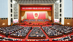 13名「台灣省人大代表」參與兩會 陸委會:全不具台灣公民身分