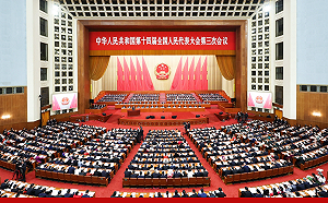 13名「台灣省人大代表」參與兩會 陸委會：全不具台灣公民身分