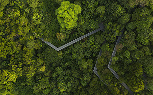 AI時代伴隨耗能耗電 HPE發布永續三大關鍵考量