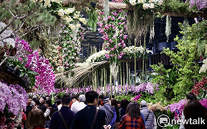 2025亞太蘭花會議圓滿落幕  臺灣國際蘭展持續吸客