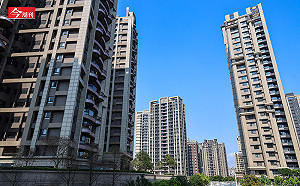 房市冬天逼近？329檔期推案逾8千億創史上次高，專家卻估房仲據點年底前關近2千家…潛藏危機何在？