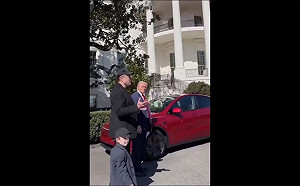 (影) 反馬斯克抗議風起雲湧! 特斯拉股價持續崩跌 川普急購Model S表力挺