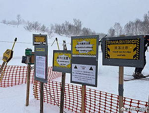 中國人愛闖北海道禁區滑雪 撞樹、跌坑全來!賣命玩法仍喊「沒事兒」