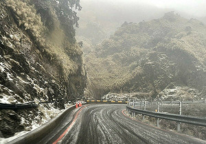 強烈大陸冷氣團發威!合歡山翠峰至大禹嶺路段18時起「預警性封閉」