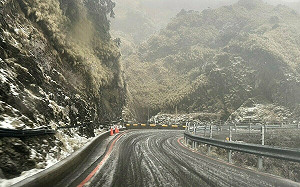 強烈大陸冷氣團發威！合歡山翠峰至大禹嶺路段18時起「預警性封閉」