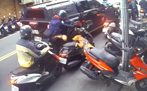 比特犬二度跳窗攻擊騎士　蔣萬安：罰最重並沒入犬隻