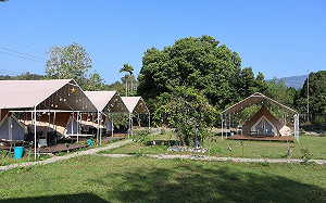 全台非法露營場仍佔9成！觀光署：即起放寬營地可作「無痕露營」