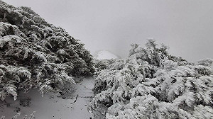 罕見三月雪!氣象署玉山測站:降雪持續累積