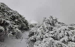 罕見三月雪！氣象署玉山測站：降雪持續累積