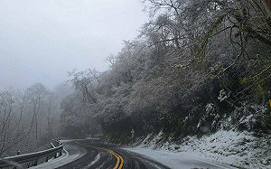 強烈大陸冷氣團發威！太平山＋合歡山  3高海拔路段「限掛雪鍊通行」