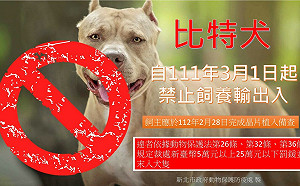 比特犬3年前「禁養」！6種危險犬隻未戴嘴套可罰15萬