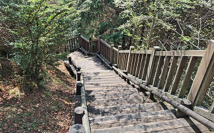 登山賞雲海注意！雪霸觀霧遊憩區雲霧步道 4/1起整修封閉