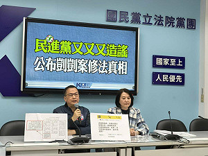 藍黨團宣布再修刑法 虐童致死最重判死