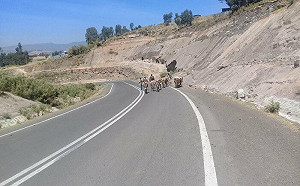 衣索比亞巴士遭武裝份子劫持 超過50人遭綁架1名乘客遭槍殺身亡