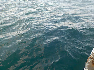 海水檢測報告出爐!全台逾9成海域水質優良 海保署:適合「水上活動」