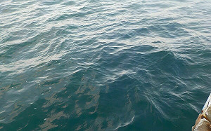 海水檢測報告出爐！全台逾9成海域水質優良 海保署：適合「水上活動」