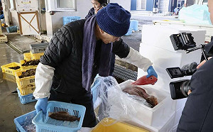 日中高層經濟對話 中國未鬆口何時進口日水產品