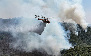 韓國各地野火延燒 至少燒掉7205個足球場