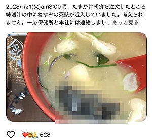 被爆味噌湯浮「整隻老鼠屍體」 日本SUKIYA道歉了