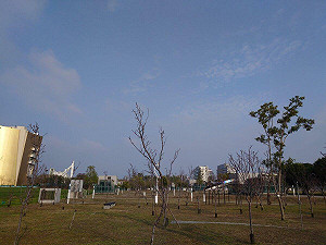 遭質疑大賣市有土地13.9億元 市府回應:林佳龍賣了14.89億元