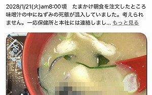 被爆味噌湯浮「整隻老鼠屍體」　日本SUKIYA道歉了