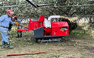 棗園管理人力荒  高雄市行農合作社代耕團解難題