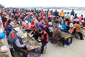 金門石蚵文化季開跑!4/12千人剝蚵挑戰   不用報名就可剝