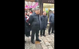 (影) 重病? 故意示弱? 習近平滿頭白髮視察貴州提及將病退 網：重大政治信號