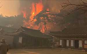 (影) 宛如人間煉獄! 韓國東南部山火肆虐22死19傷 千年寺廟也遭摧毀